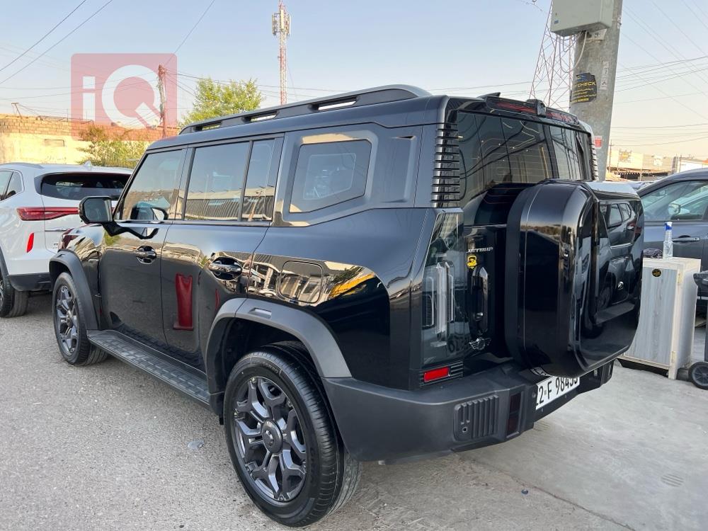 جیتۆر T2